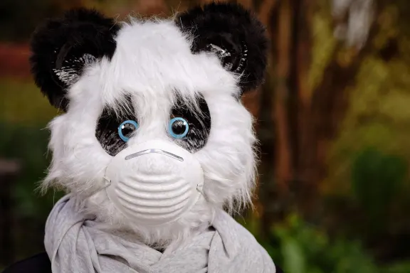 Kazino of Dreams Atbalsts